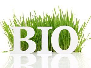 BIO